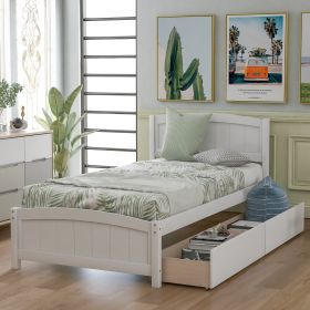 Twin Size Platform Bed With Two Drawers, White (Color: White)